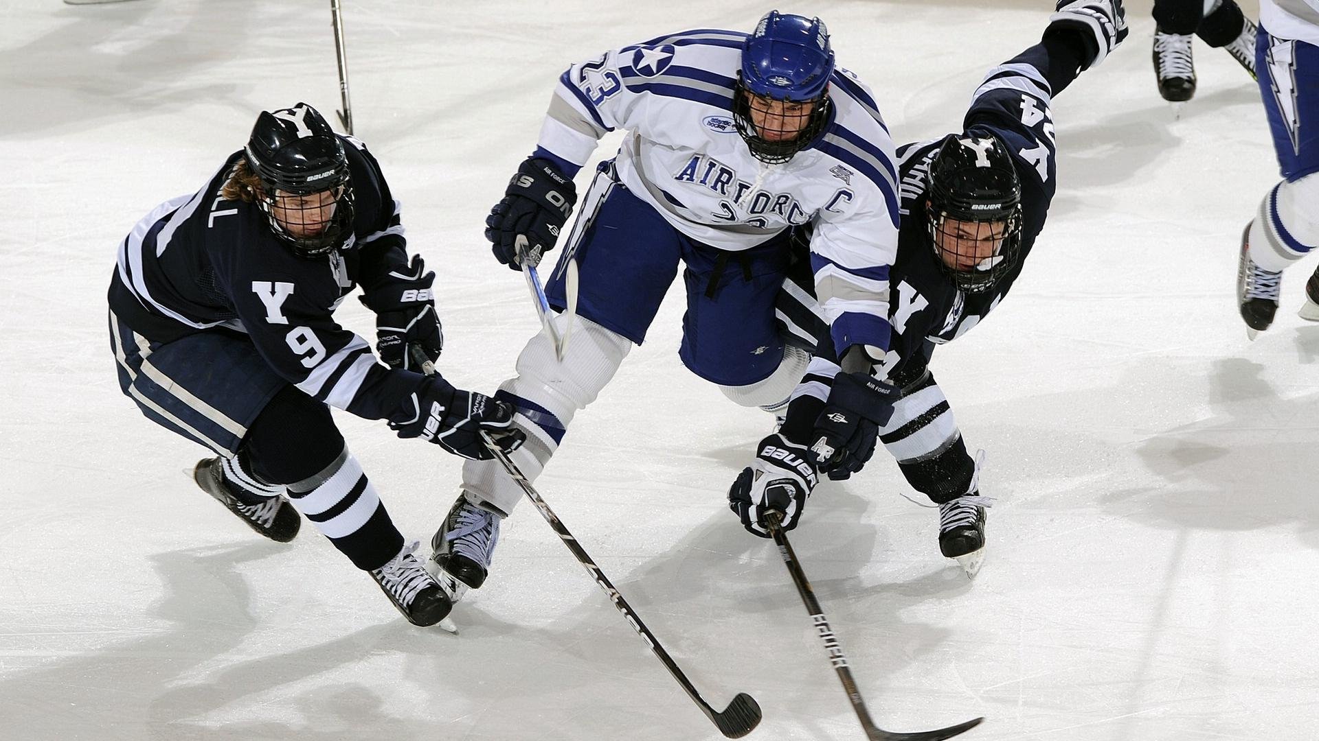 训练计划动态调整,训练计划的制定与实施步骤